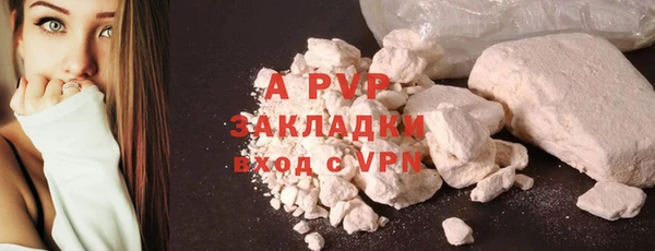 PSILOCYBIN Горно-Алтайск