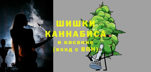 хмурый Абаза