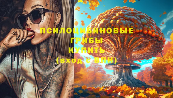 гашик Новый Уренгой