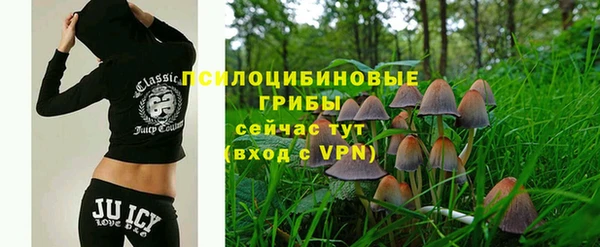 ECSTASY Магас