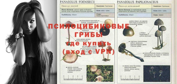 прущие крисы Ачинск