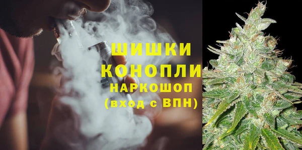 сатива Бердск
