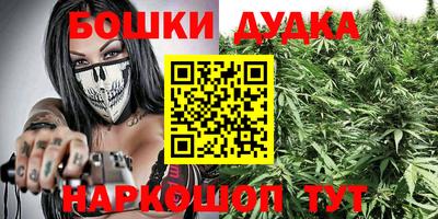 шишки Бузулук