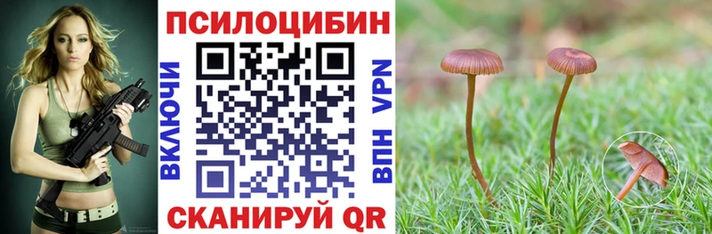 Псилоцибиновые грибы Psilocybe kraken сайт Дмитров