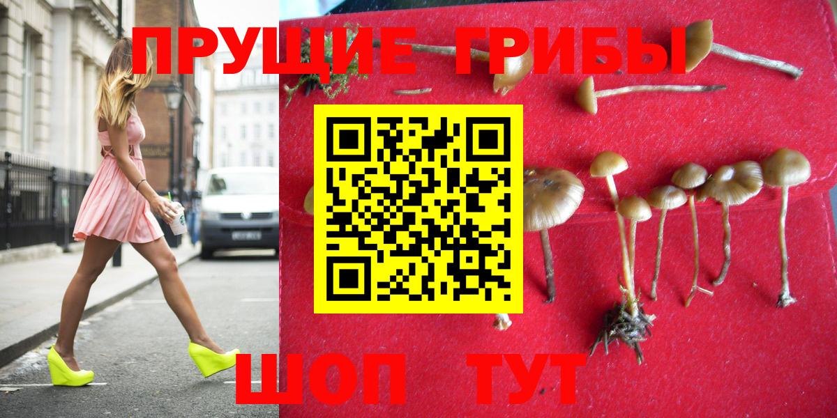 Галлюциногенные грибы мухоморы Дмитров