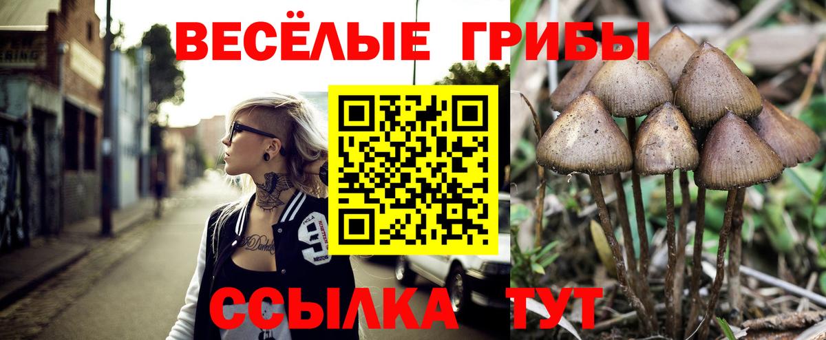 Псилоцибиновые грибы MAGIC MUSHROOMS Дмитров