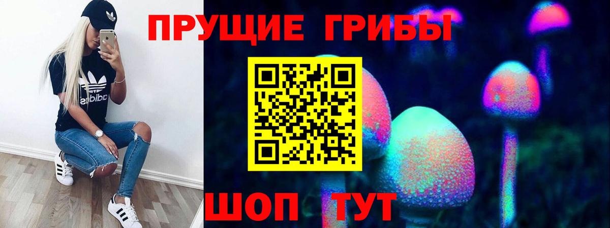 Галлюциногенные грибы Psilocybine cubensis  Дмитров 