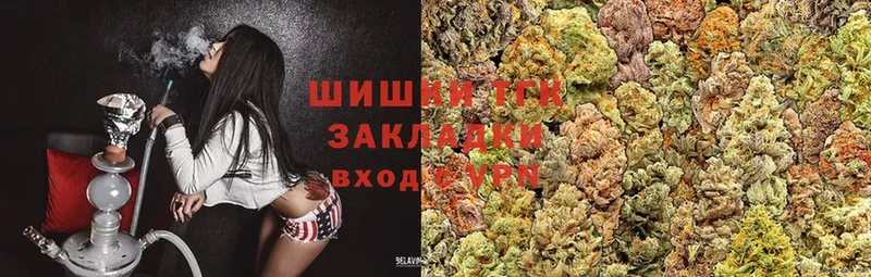 Канабис сатива  Дмитров 